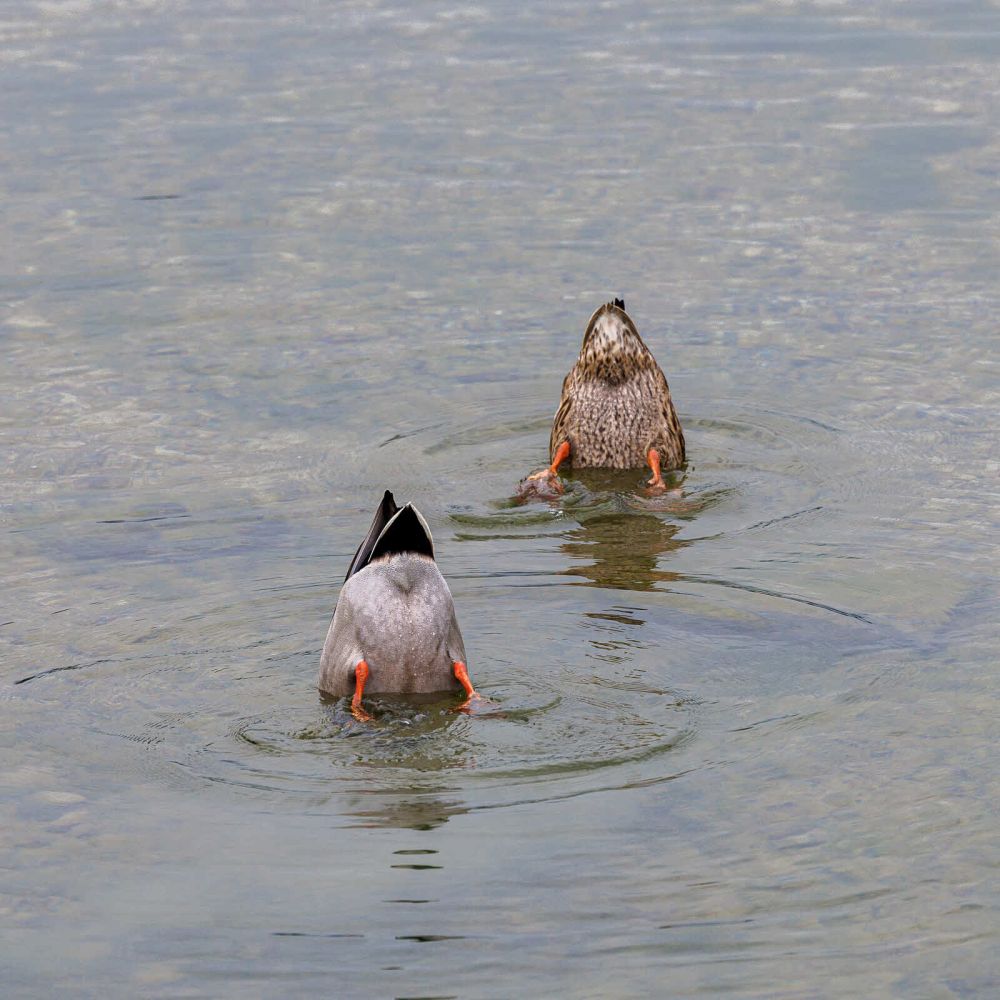 IMG 2025 10 11 0068081